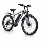 Bolt Bikes Electra E-Series | Grey