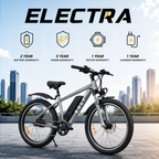 Bolt Bikes Electra E-Series | Grey