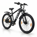 Bolt Bikes Electra