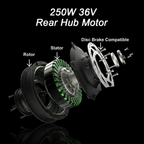 250W 36V BLDC Electric Cycle Motor |  Water Resistance