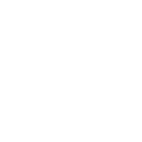 Anti Theft Lock